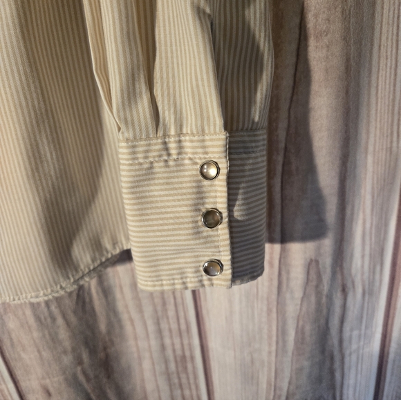 Vintage Striped Ruffle Pearl Snap Button Up - Picture 2 of 4